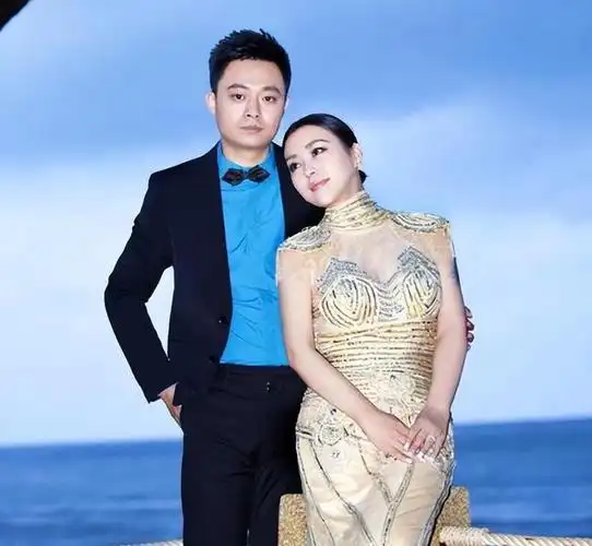 回顾郝蕾与刘烨离婚后,自己一人养育双胞胎儿子,如今怎么样了|邓超