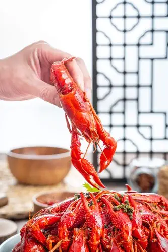 一只小龙虾|摄影|静物|放风筝的猫 - 原创作品 - 站酷 (zcool)