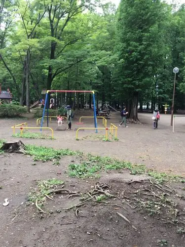 日本埼玉市小公园.