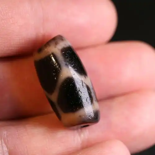 【小额批发】西藏长寿龟甲天珠藏式龟背天珠不透光 台湾至纯工艺