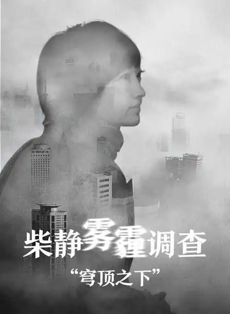《柴静雾霾调查:穹顶之下》[2015纪录片][720phd高清中字]