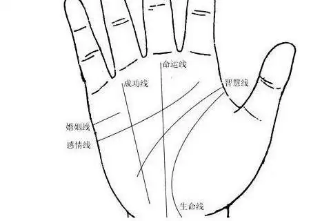 手相:什么叫二婚线有二婚线就一定会有二婚吗