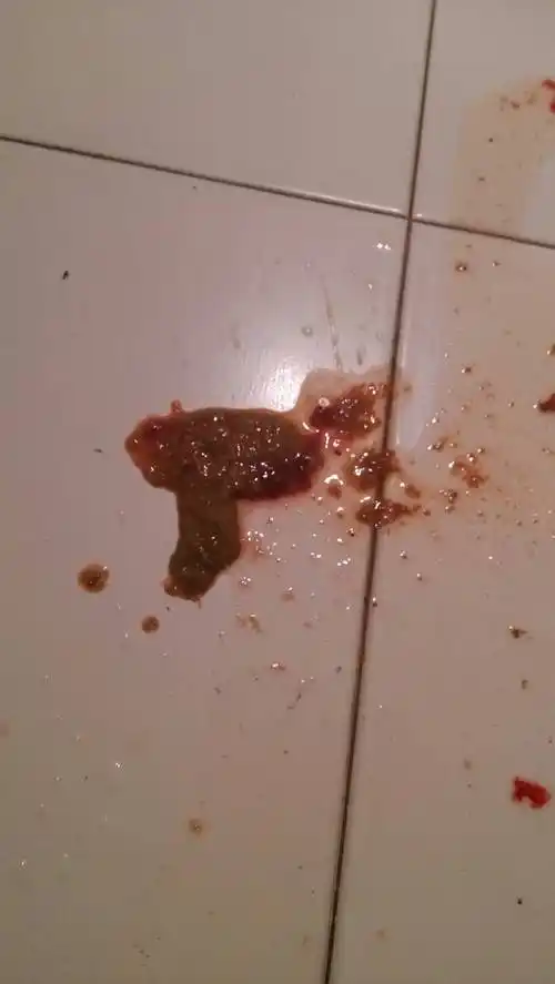 好着急?狗狗是泰迪.