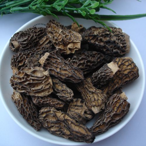 冠发 二件包邮野生羊肚菌干货特产滋补山珍菌蘑菇野生菌贡品100g