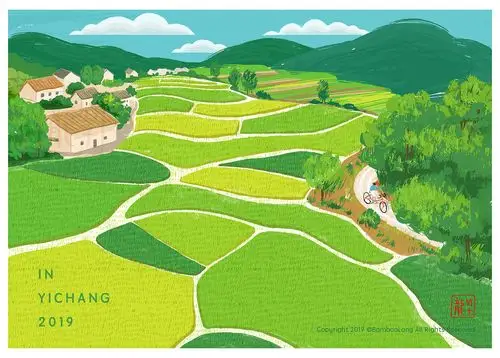 插画| 小满稻田