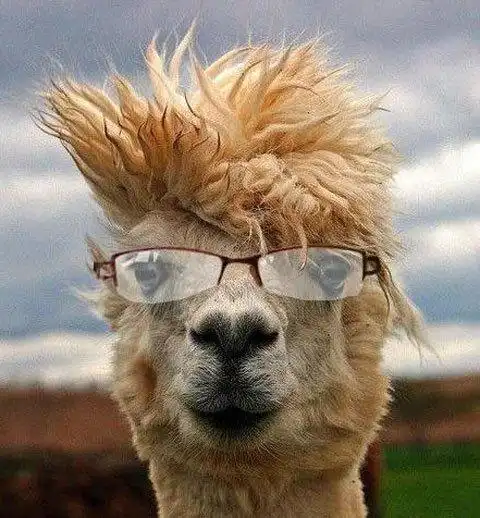 搞笑图片,幽默笑话,经典笑话大全_搞笑_赢家娱乐