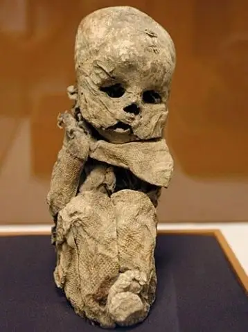 亚马逊雨林地区12具恐怖木乃伊