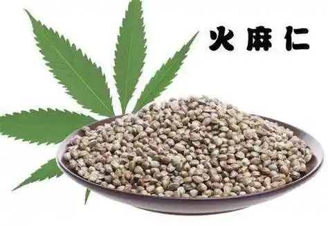 炒火麻仁的功效与作用