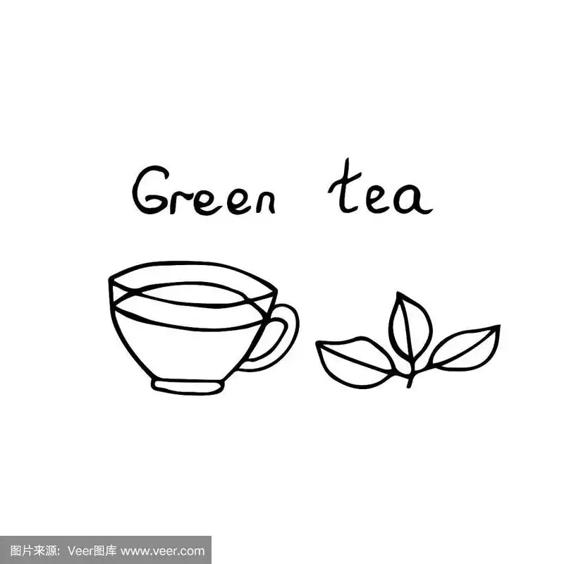 绿茶,茶杯和茶叶,矢量插图,手绘