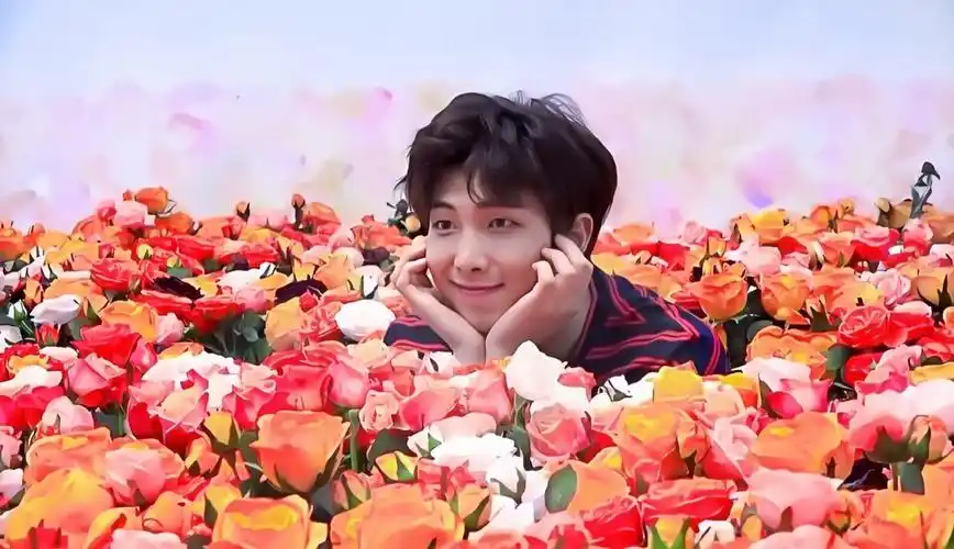 金南俊 - 堆糖,美图壁纸兴趣社区