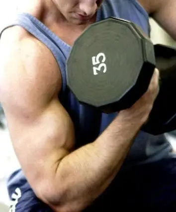 健身中掌握关键要素,让肌肉线条更加清晰