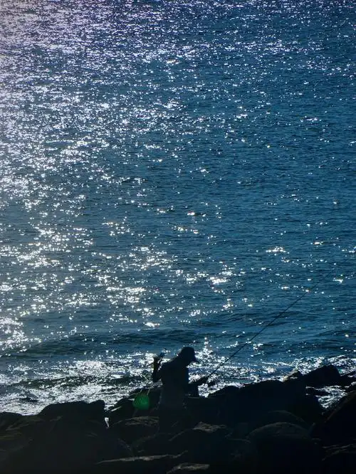 一个人看海孤独吗