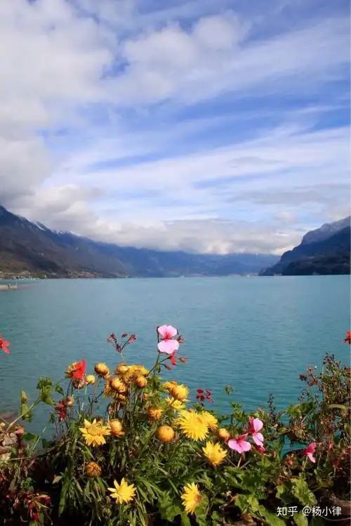 你的手机里有哪些自己拍的真实的风景照?