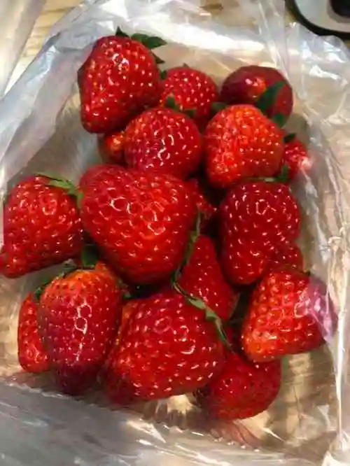 打分 经常在他家买水果,我家宝宝特别爱吃他家的草莓,正宗的青浦草莓