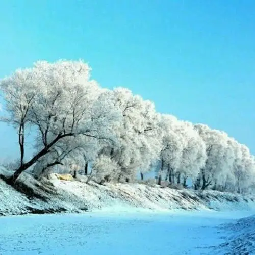 相聚耶稣的家(合唱版)