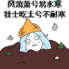 240_240gif 动态图 动图