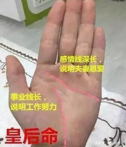 手相解析:感情线事业线深长的女人,财运旺盛