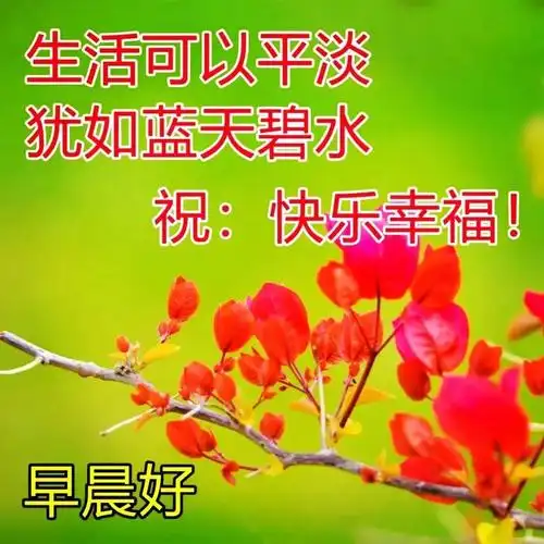 好看的早上好群发问候语图片祝福