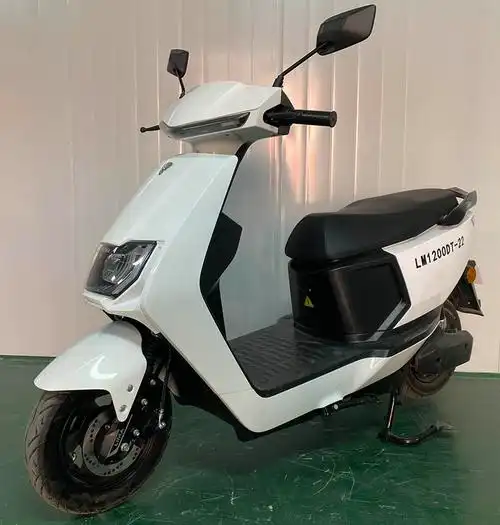 立马牌lm1200dt22电动两轮摩托车