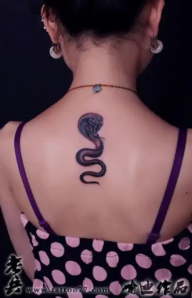 武汉纹身店:美女的颈部蛇纹身