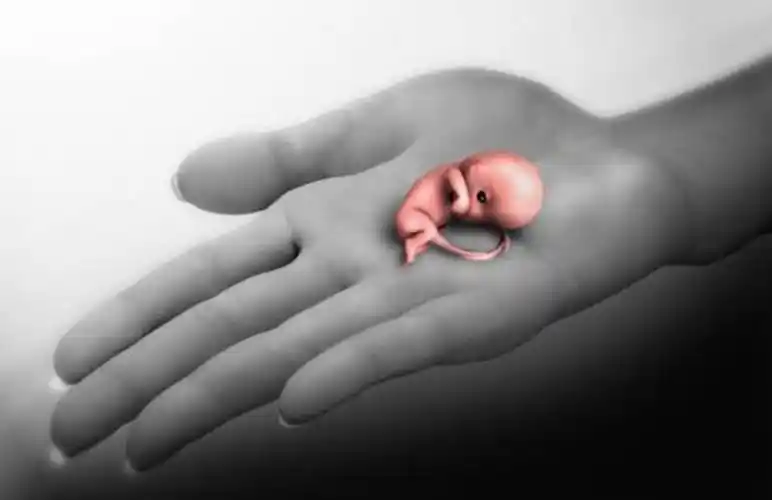 60天的胎儿被流掉的照片曝光,看完心里真不是滋味,网友:不忍看