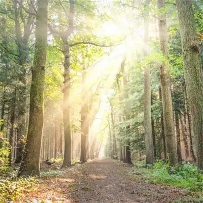 求财旺运势的高清风景吸引人的头像 超级唯美质感又有气质的风景_风景