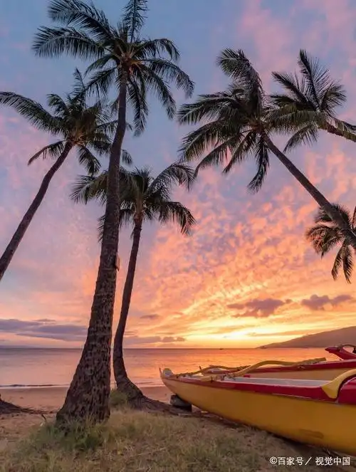 中国海南岛的旅游胜地——三亚,以独特的自然风光而闻名于世
