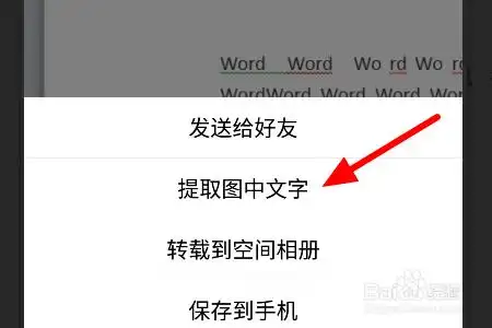 把手机图片里的文字转成word文档