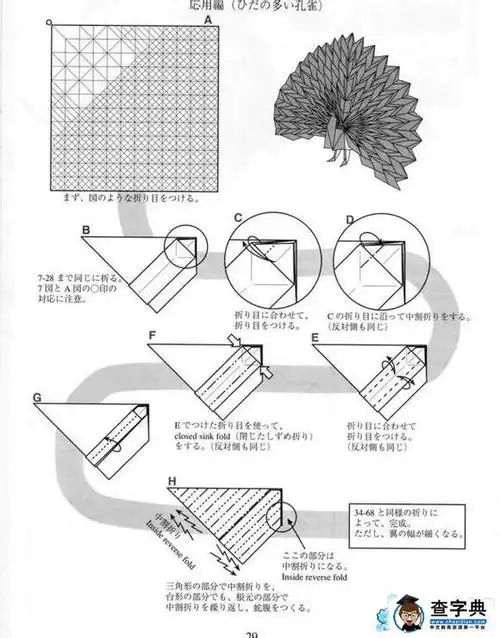 手工制作 折纸手工 孔雀折纸图解大全-唯美的孔雀开屏 2015-11-09 11