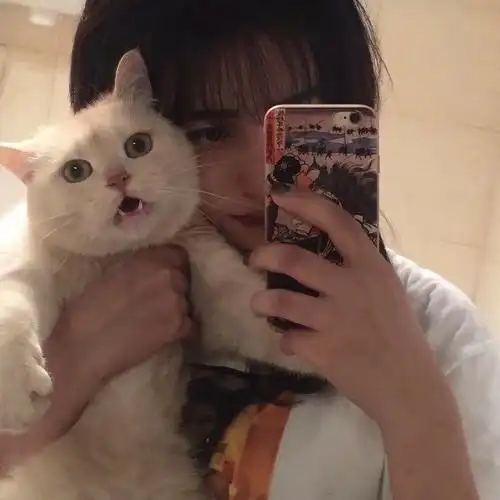 女生抱猫头像堆糖_头像图片_扣扣乐园