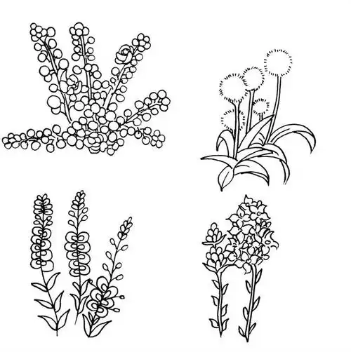 简笔画教程简单易学植物(一套常用的植物简笔画)(3)