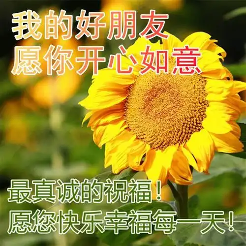 早晨安好最新早上好祝福动态图片,春季特漂亮早上好表情动态图片