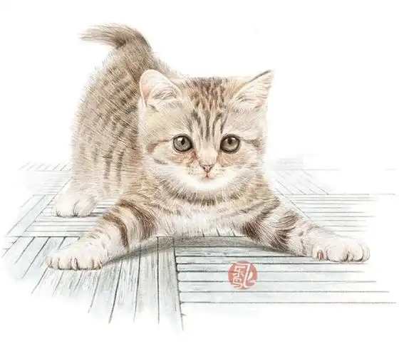 手绘彩铅画色铅笔飞乐鸟猫
