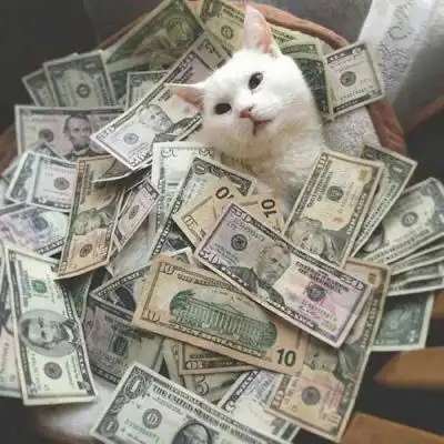 暴富头像图片2022最火爆2020年发财暴富聚财图片大全