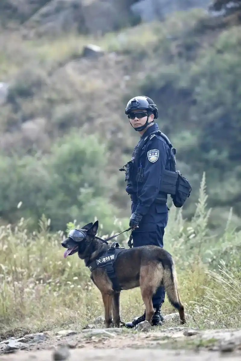 武装奔袭,野外生存,山地捕歼……这些特警技能,你敢来么?