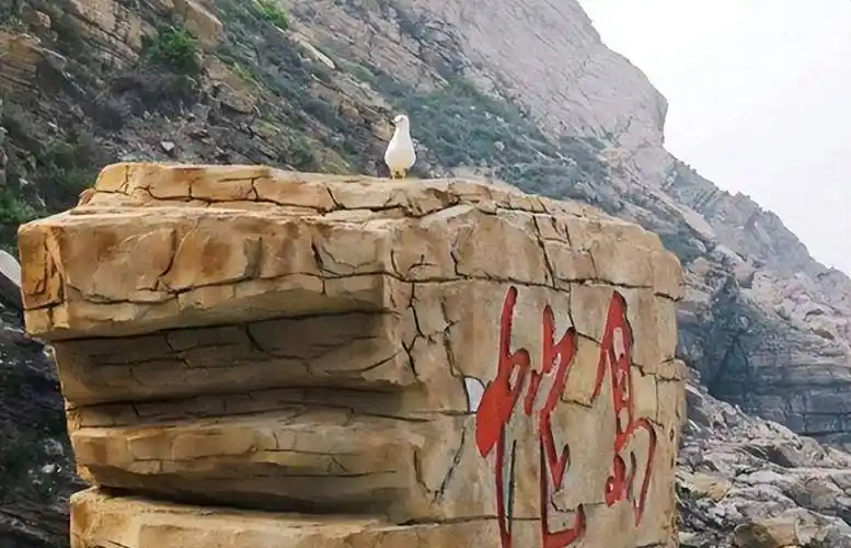 大连蛇岛上的毒蛇,都是从哪里来的?为何这里的毒蛇如此之多?