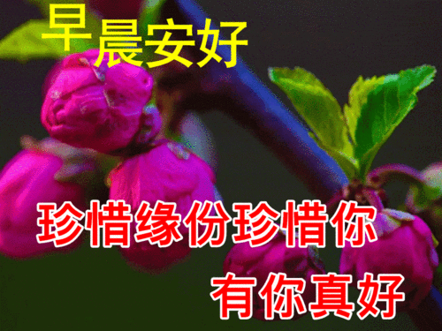 6月21日最漂亮早上好动态表情图片大全早上好动图美图大全