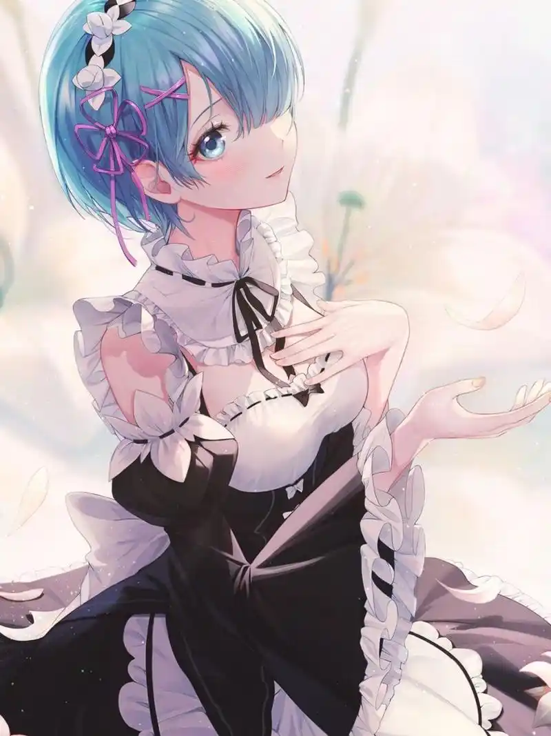 分享一波雷姆壁纸78丨