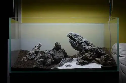 90cm青龙石造景草缸图片欣赏