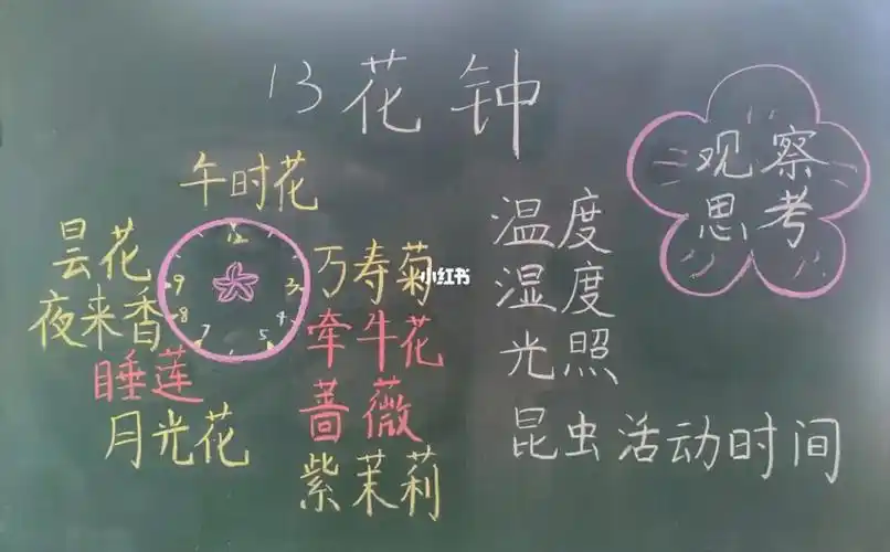 《花钟》板书设计