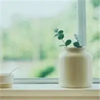 微信头像女生物品 一个人也很精彩 唯美小清新微