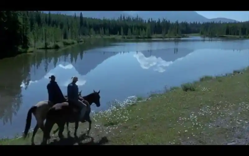 你看过哪些温暖美好的电影画面或瞬间?