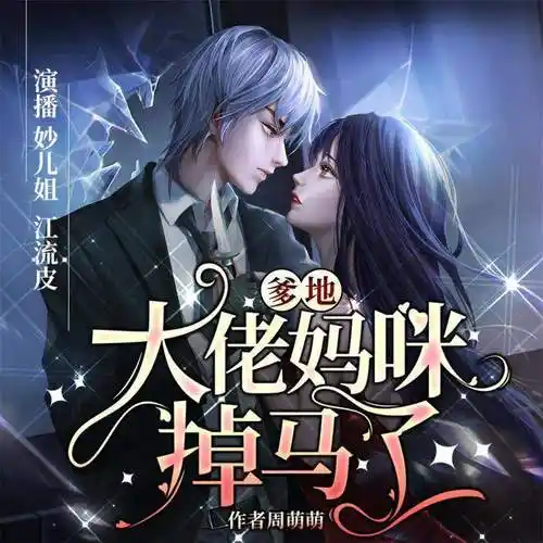 妙儿姐 0.10元/集