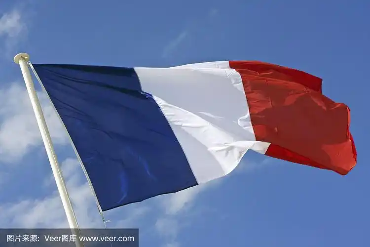 法国国旗(法国国旗三色代表什么) - 爱丽百科知识