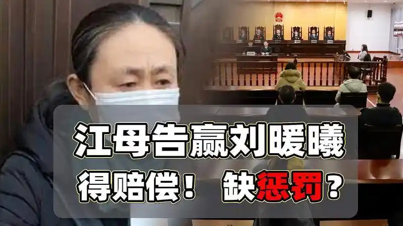 大无语事件,刘鑫二审赔70万网上众筹,账号被封后再开又被封
