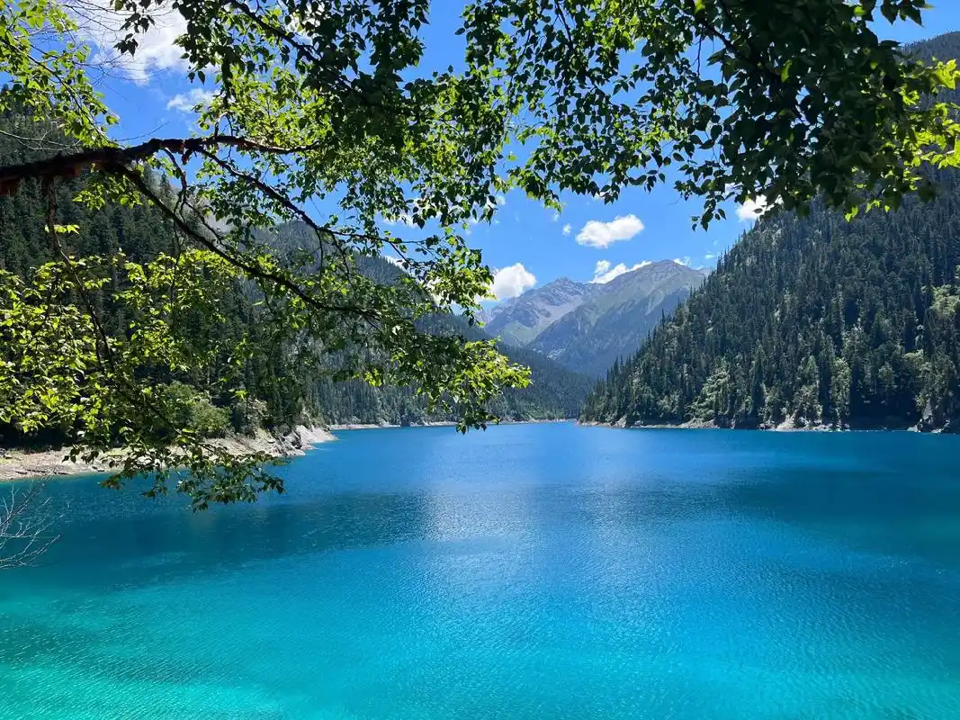再游九寨.2011年携家人和朋友去过九寨沟,九寨的美景深深刻 - 抖音