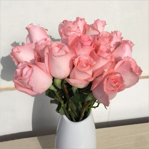 鲜花云南昆明基地直发红玫瑰花水养花束速递同城配送生日花瓶插花