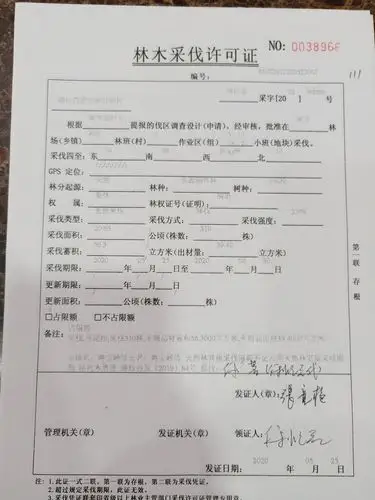 2020年5月份采伐证