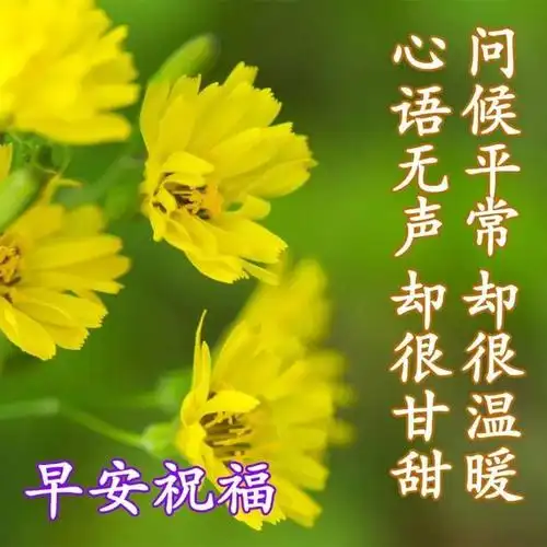 4月份早上好问候语图片表情大全 早上好祝福语图片带字