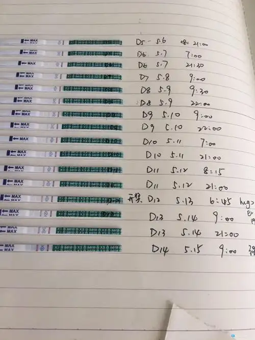 [试管婴儿]今天大卫强阳了,好像也没办法再